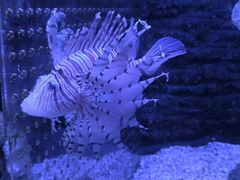 -秦皇岛新澳海底世界