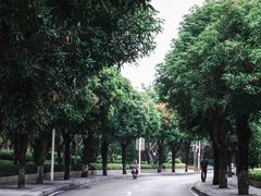 -白鹭洲公园