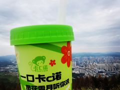 -长虫山生态公园风景林
