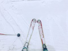 -哈尔滨热雪奇迹