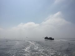 -大鹿岛