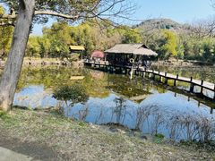 -兰亭风景区