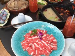 -合肥滨湖国家森林公园