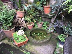 恺庐茶园-恺庐茶园(宽窄巷子景区店)