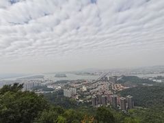 -大雁山风景区