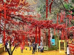 -大慈岩风景区