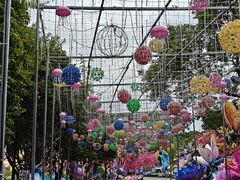 -洋湖国家湿地公园