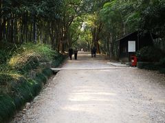 -杭州半山国家森林公园