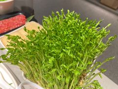 现剪现吃豌豆苗-海底捞火锅(珠影星光城夜宵主题店)