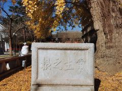-北京石刻艺术博物馆(五塔寺)