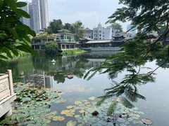 -荔湾湖公园