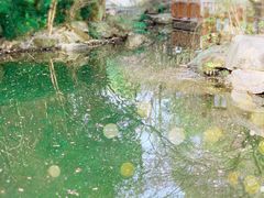 -银都名墅