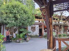 -青城甲(青城山店)