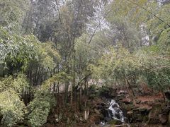 -庐山风景区花径公园