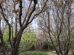-北京宽沟会议中心