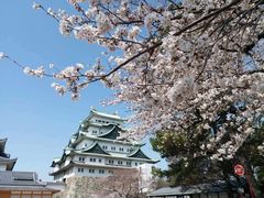 -名古屋城