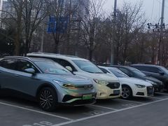 -张一元茶庄(望京店)