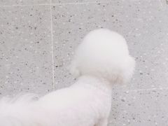 -宠物家(大兴旧宫店)