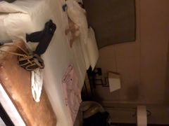 -西安赛瑞喜来登大酒店