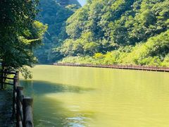 -尧治河旅游度假区