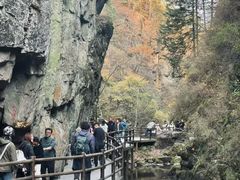 -茅兰沟国家森林公园