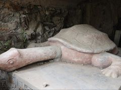 -上海佘山国家森林公园天马山园