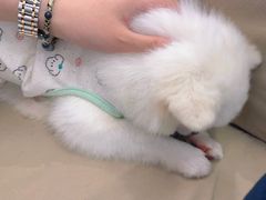 -怪兽屋·羊驼·猫咖·狗咖(俊华广场店)