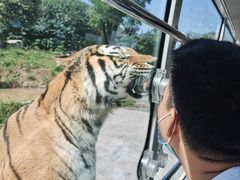 -西安秦岭野生动物园