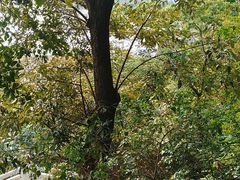 -上海市保健医疗中心