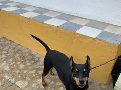 -埃武拉罗马神庙