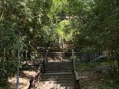 -深圳仙湖植物园