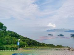 -花竹村