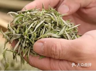 话说白茶 白茶自古以来被誉为“万病之药”,虽然有点夸