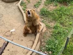 -无锡动物园·太湖欢乐园