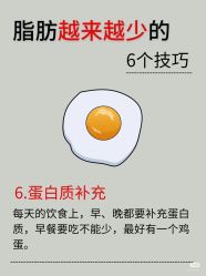 -玛莲朵·海菲秀冰珀科