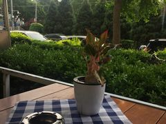 -皇冠自酿啤酒坊(中国红街5号楼店)