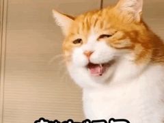 -美联众合动物医院(·中兽医·疑难杂症·严家桥分院)