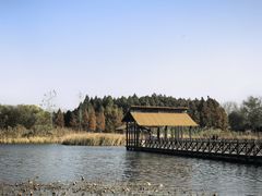 -溱湖国家湿地公园