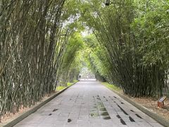 -望江楼公园