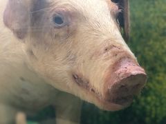 -郑州自然博物馆(惠济区)