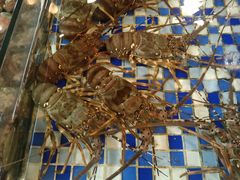 -顺德了能馆(虎门店)