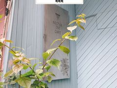-Nectar One Cafe(勇烈路n1店)