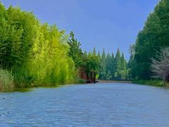 -黄海国家森林公园