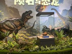 -吉林市博物馆