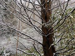 -山王坪喀斯特国家生态公园