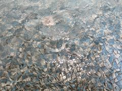 -涨巢·潮玩水疗局