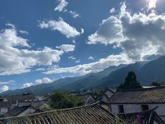 -喵屿·大理花园猫咖