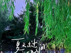 -西北湖绿化广场