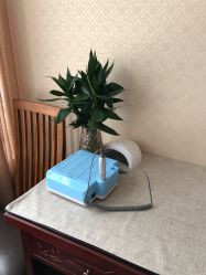 -L.MJ轻奢皮肤管理中心