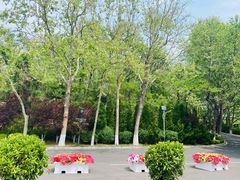 -棒棰岛宾馆景区